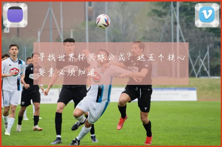寻找世界杯买球公式?这五个核心要素必须知道