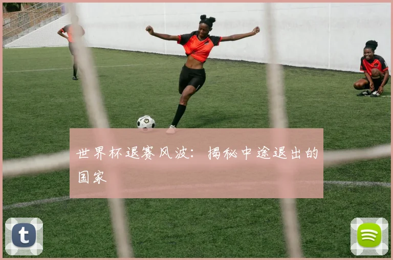 世界杯退赛风波:揭秘中途退出的国家