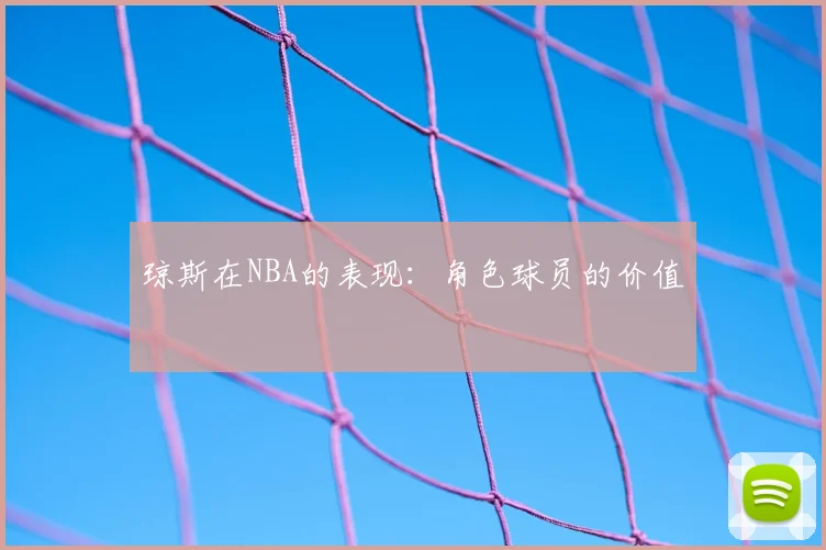 琼斯在NBA的表现：角色球员的价值