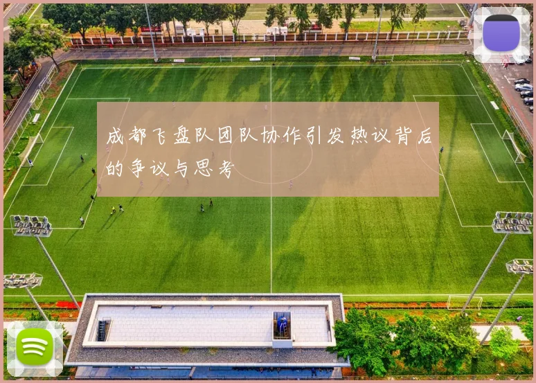 成都飞盘队团队协作引发热议背后的争议与思考