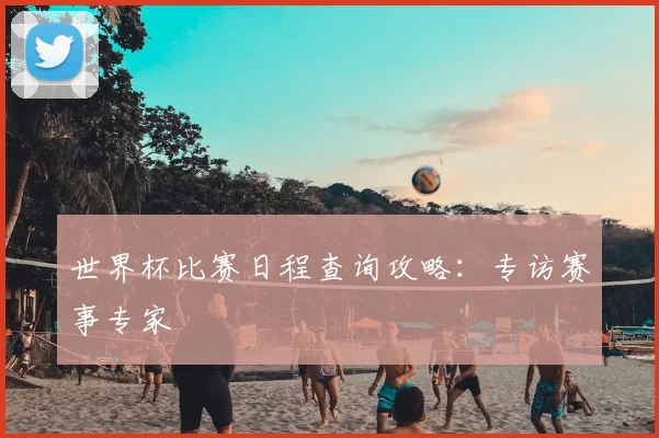 世界杯比赛日程查询攻略：专访赛事专家