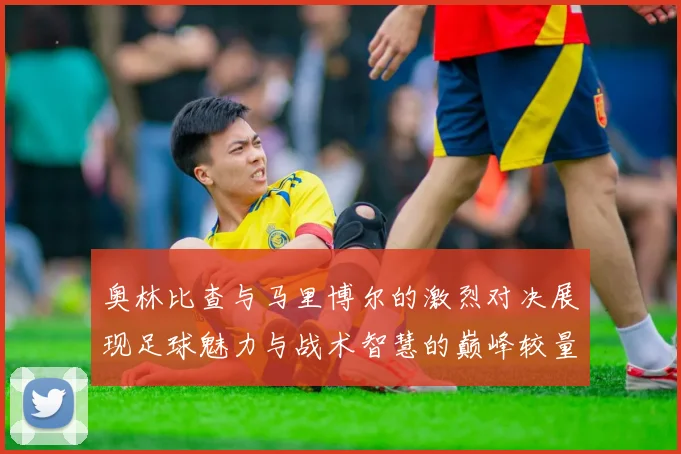 奥林比查与马里博尔的激烈对决展现足球魅力与战术智慧的巅峰较量