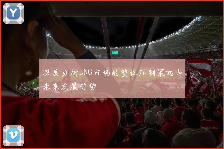 深度分析LNG市场的整体压制策略与未来发展趋势