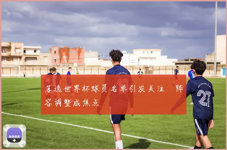 落选世界杯球员名单引发关注　阵容调整成焦点