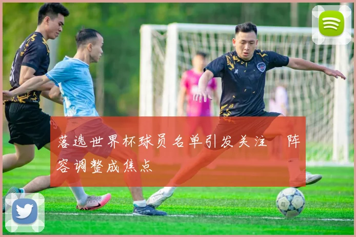 落选世界杯球员名单引发关注 阵容调整成焦点